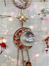 Load image into Gallery viewer, Amy