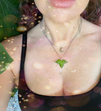 Load image into Gallery viewer, The Forager