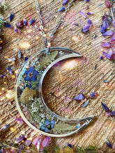 Load image into Gallery viewer, Foraging wild lands