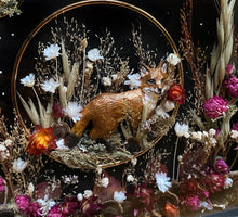 Load image into Gallery viewer, Wisdom in the Wonder
