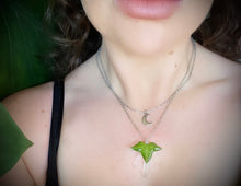 Load image into Gallery viewer, The Forager