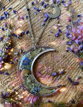 Load image into Gallery viewer, Foraging wild lands