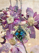 Load image into Gallery viewer, Mushy