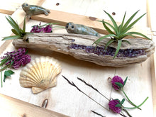 Load image into Gallery viewer, Crystal Waters Planters