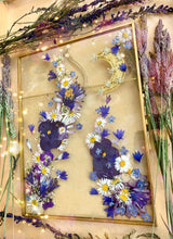 Load image into Gallery viewer, June Bloom