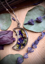 Load image into Gallery viewer, Banba Blue Magical Mushroom