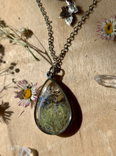 Load image into Gallery viewer, Lichen You