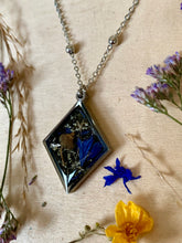 Load image into Gallery viewer, Stargazing