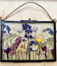 Load image into Gallery viewer, Daisy Bells