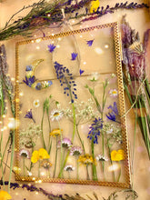 Load image into Gallery viewer, Daisy Fields