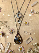 Load image into Gallery viewer, Little Wild One