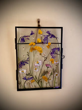 Load image into Gallery viewer, Meadow Window