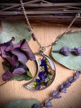 Load image into Gallery viewer, Banba Blue Magical Mushroom