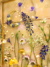 Load image into Gallery viewer, Daisy Fields