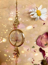 Load image into Gallery viewer, Seance