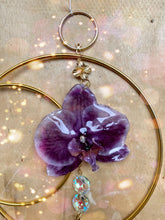Load image into Gallery viewer, Orchid Moon
