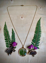 Load image into Gallery viewer, Stars over the Ferns
