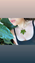Load image into Gallery viewer, The Adventurer
