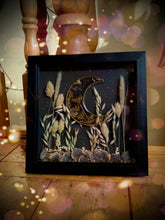 Load image into Gallery viewer, Tales from the Seance

