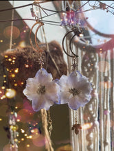 Load image into Gallery viewer, Spring Morning light
