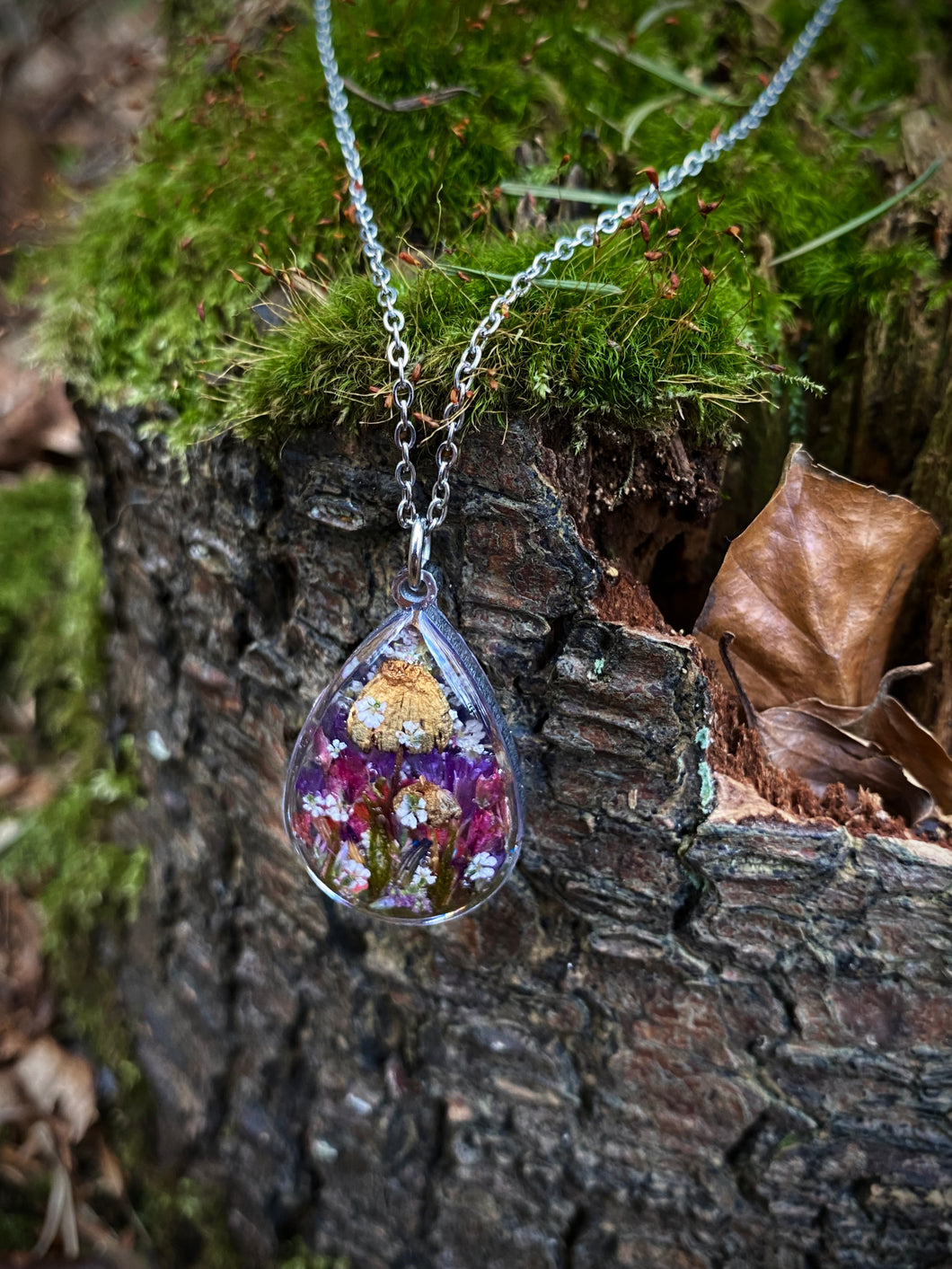 Whimsy and wild