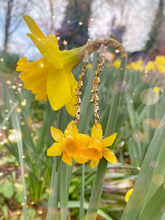 Load image into Gallery viewer, Daffodil Abbey
