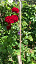 Load and play video in Gallery viewer, Rise and Shine Planter
