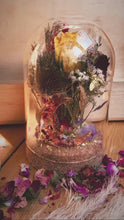 Load and play video in Gallery viewer, Enchanted Teasel
