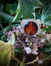 Load image into Gallery viewer, Autumn Leaf Fairytale Ring
