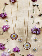Load image into Gallery viewer, Daisy Daze
