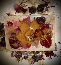 Load image into Gallery viewer, Woodland Treasure Box
