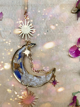 Load image into Gallery viewer, Magical Mushroom
