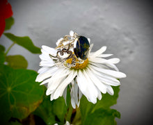 Load image into Gallery viewer, Corn Flower Fairytale Ring
