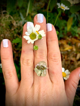 Load image into Gallery viewer, Secret Place Sea Glass Ring
