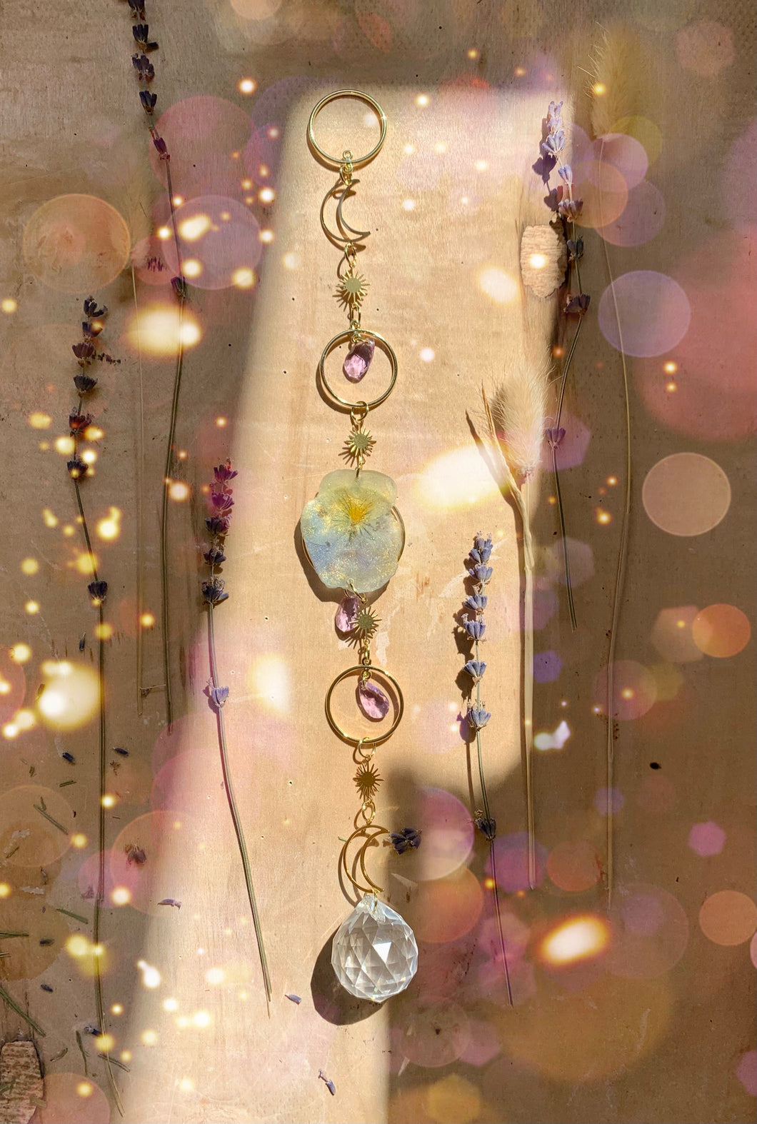 Daydreaming in the flower beds