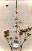 Load image into Gallery viewer, Moon Hive
