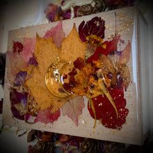 Load image into Gallery viewer, Woodland Treasure Box
