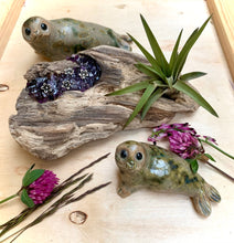 Load image into Gallery viewer, Enchanted Garden  Planter
