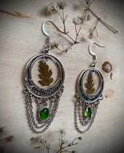 Load image into Gallery viewer, Shine On Earrings
