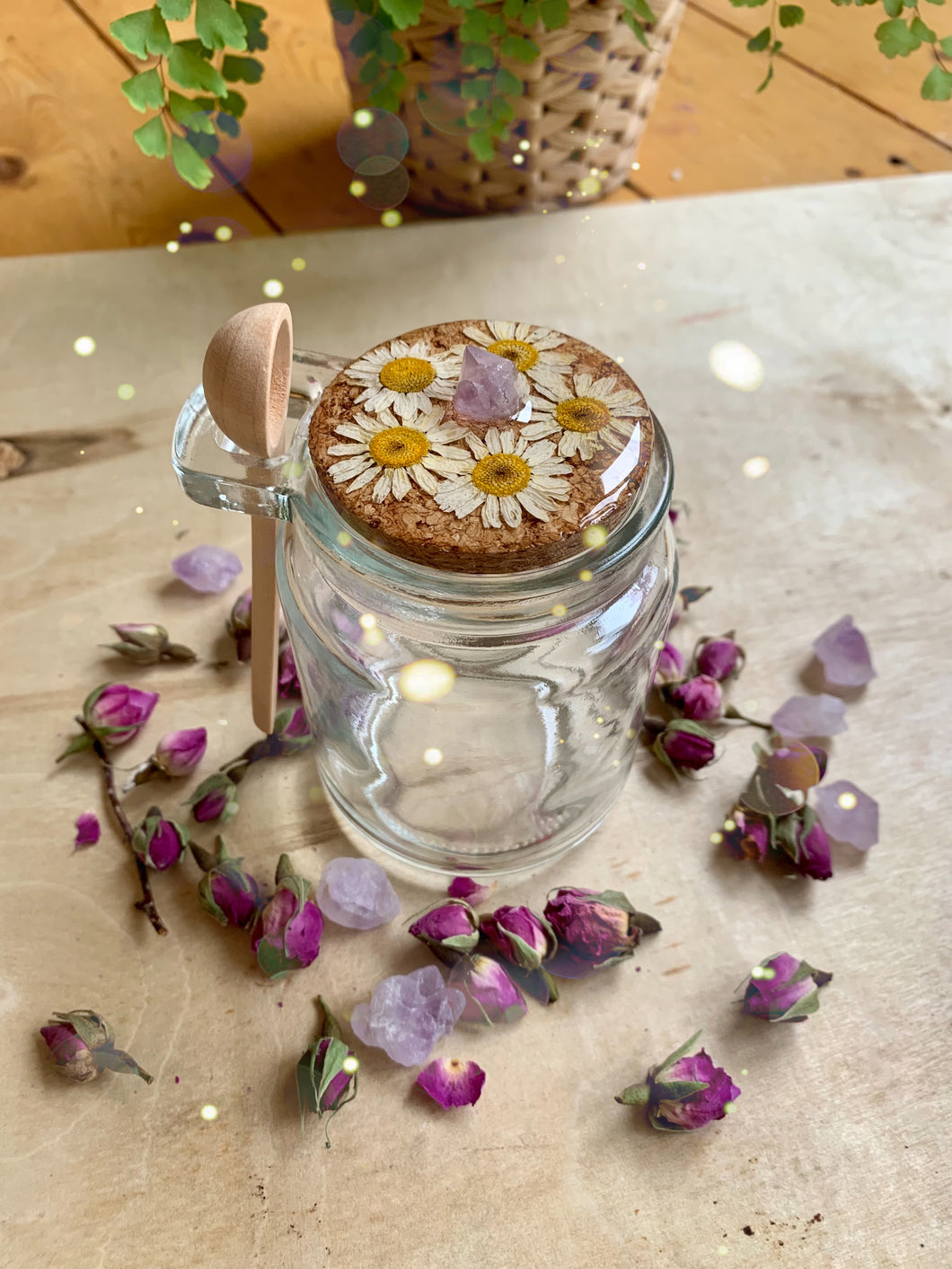 Wild Daisy