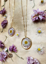 Load image into Gallery viewer, Daisy Daze
