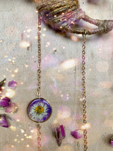 Load image into Gallery viewer, Daisy Rose
