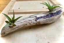 Load image into Gallery viewer, Crystal Waters Planters
