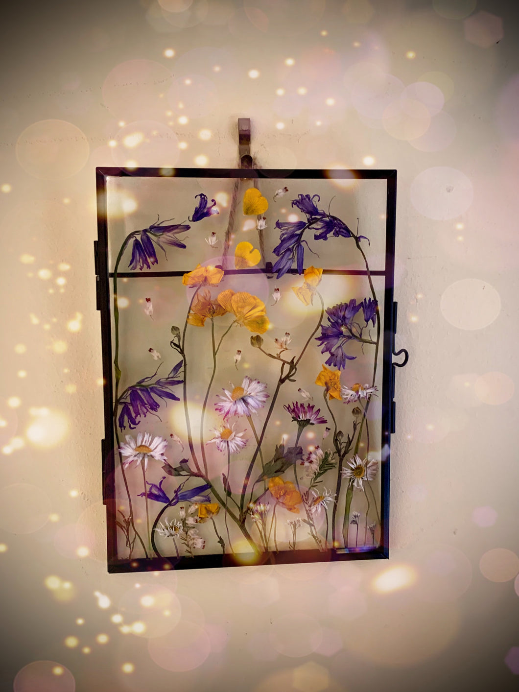 Meadow Window