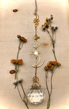 Load image into Gallery viewer, Moon Hive
