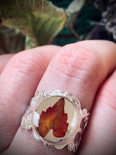 Load image into Gallery viewer, Autumn Leaf Fairytale Ring
