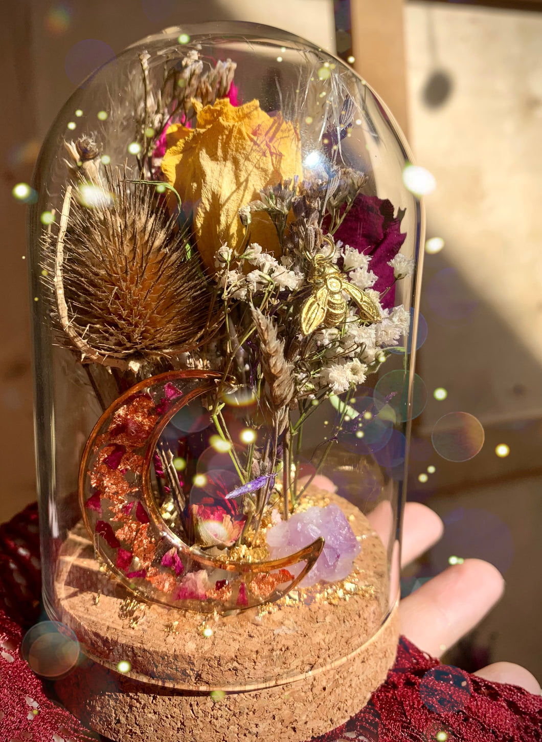 Enchanted Teasel